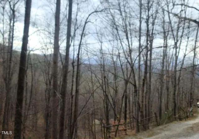 a view of a yard with lots of trees