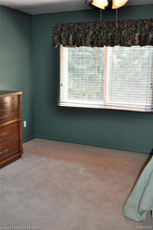 5359 Chase Lake Road Fowlerville, MI 48836 - Photo 13 of 31 Gallery Image 13