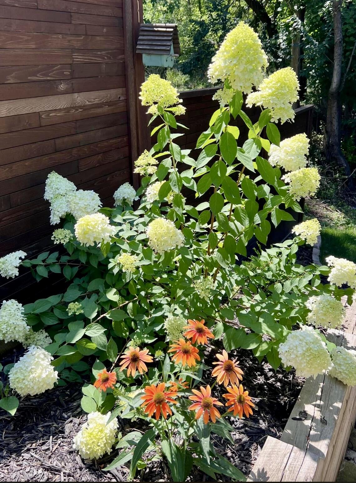 3624 Lowden Street Kalamazoo, MI 49008 - Photo 33 of 36 IMG_9327