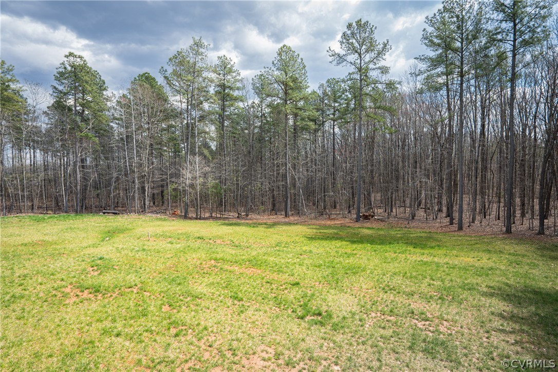 1344 Red Road Dillwyn, VA 23936 - Photo 5 of 33 Gallery Image 5