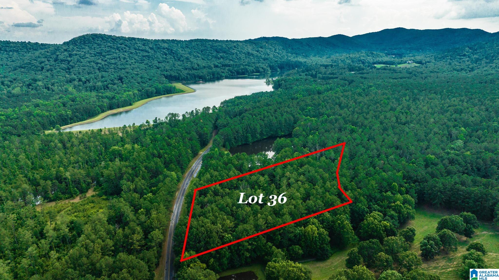 Lot 36 Twin Pines Road, Unit 36 Sterrett, AL 35147 - Photo 4 of 26
