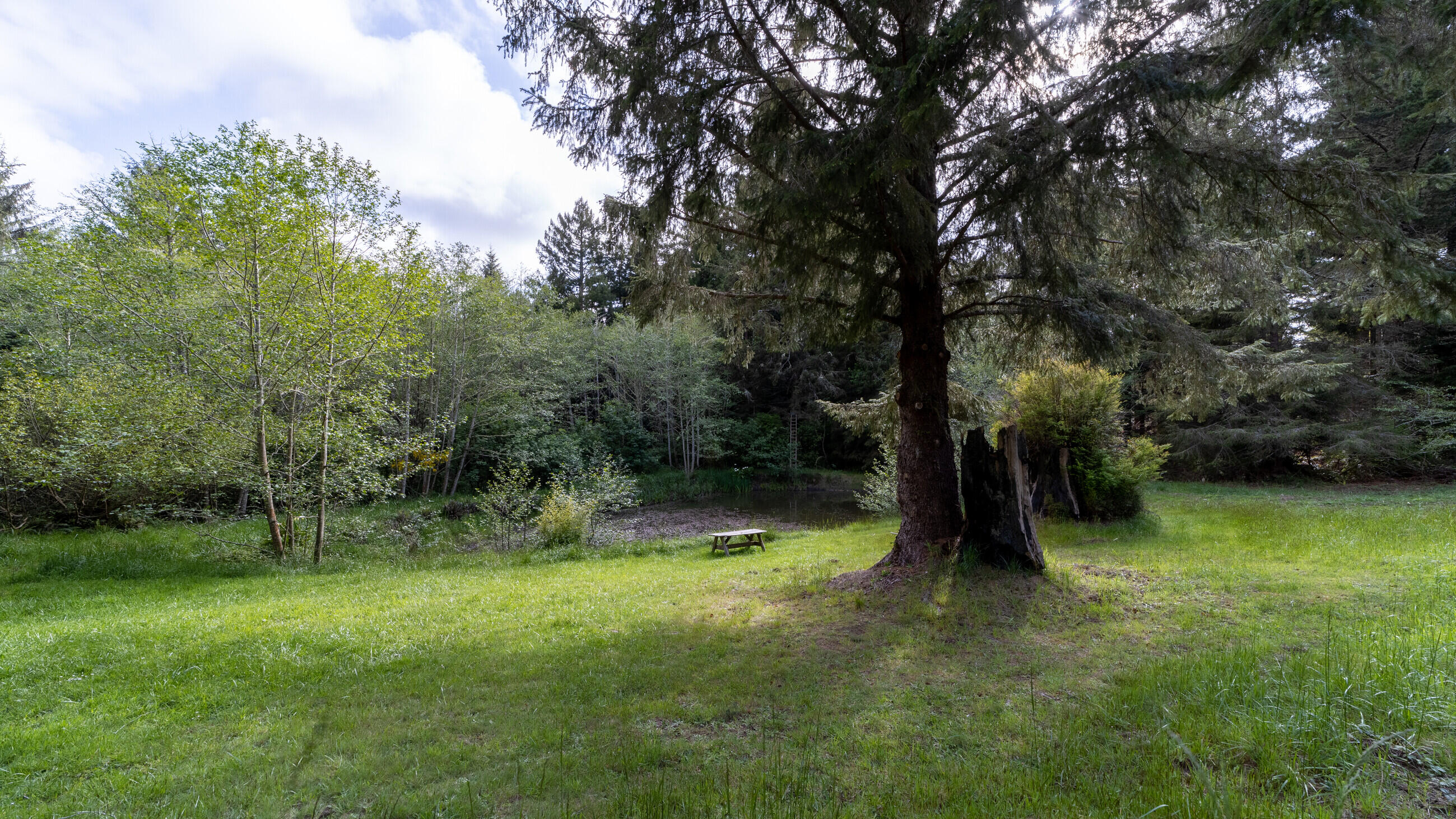8073 Berta Road Eureka, CA 95503 - Photo 101 of 130