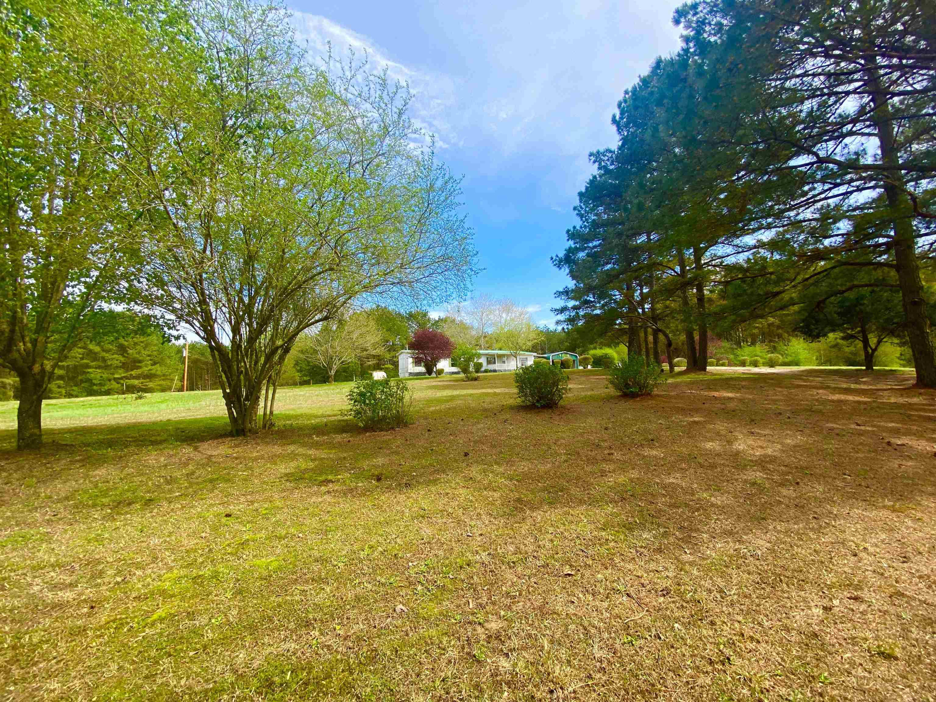 415 Leo Woods Road Cedar Grove, TN 38321 - Photo 3 of 6 Photo 3