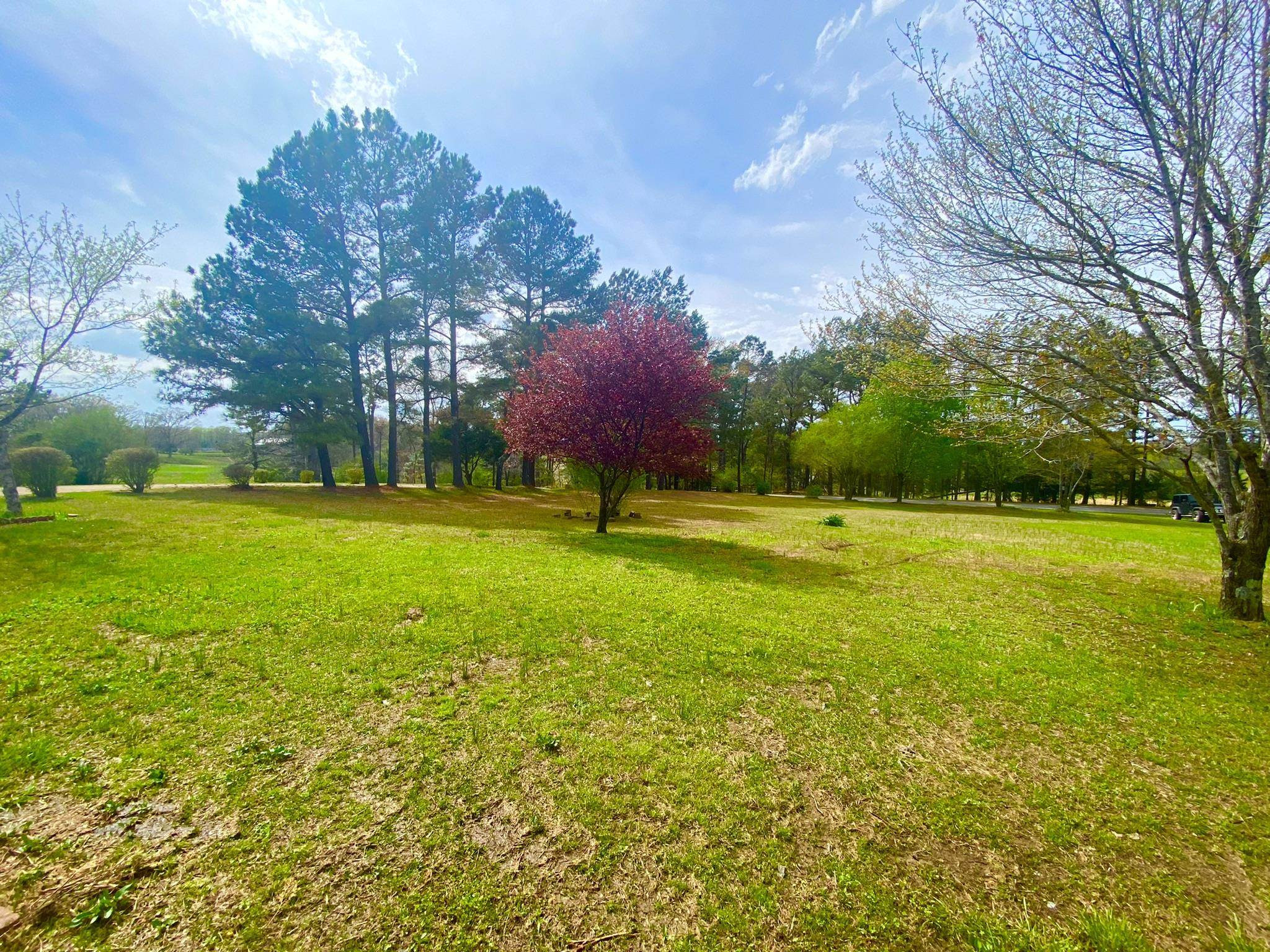 415 Leo Woods Road Cedar Grove, TN 38321 - Photo 5 of 6 Photo 5