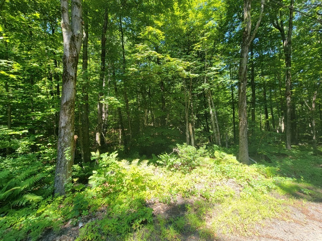 0 Gibson Road Fitchburg, MA 01420 - Photo 5 of 5 Gallery Image 5