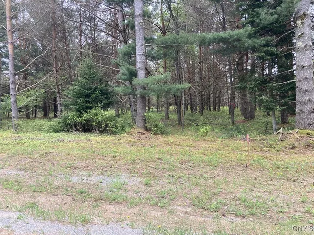$49,900 | Undisclosed Address, Forestport, NY 13338