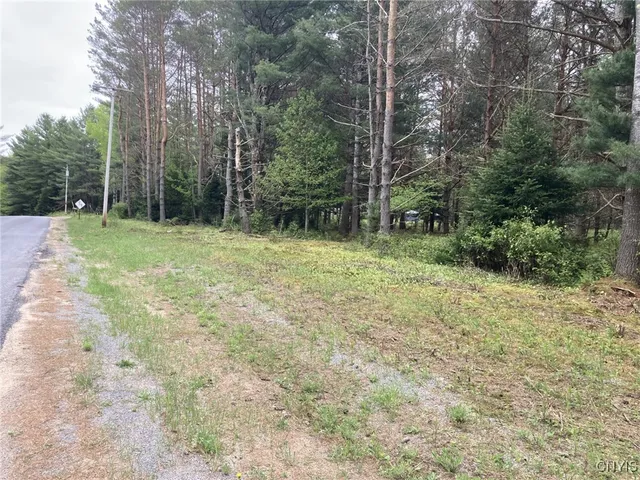 $49,900 | Undisclosed Address, Forestport, NY 13338