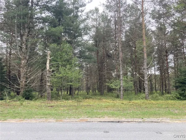 $49,900 | Undisclosed Address, Forestport, NY 13338