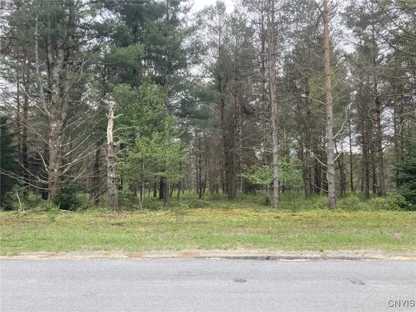 $49,900 | Undisclosed Address, Forestport, NY 13338