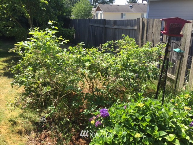 2113 Northeast 6th Place Renton, WA 98056 - Photo 22 of 23