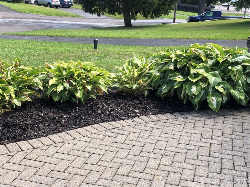 204 Champlin Drive Syracuse, NY 13206 - Photo 3 of 34