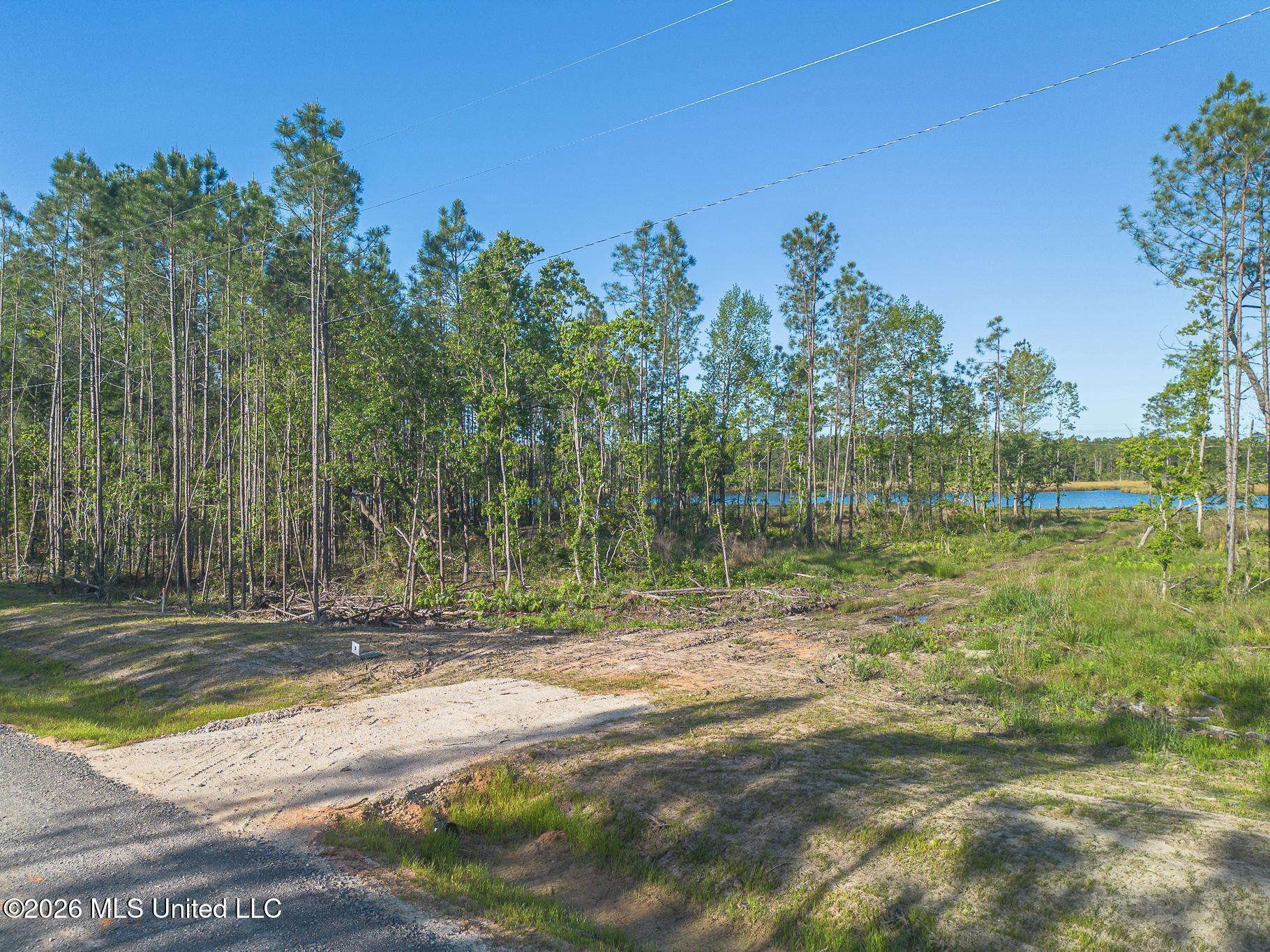 13080 Enciente Point Drive Kiln, MS 39556 - Photo 17 of 30 Enciente-84