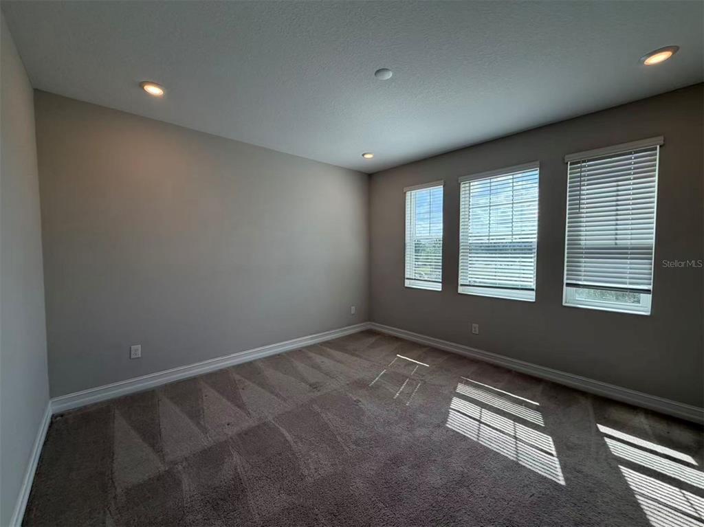 4565 Ancona Way Wesley Chapel, FL 33543 - Photo 18 of 22