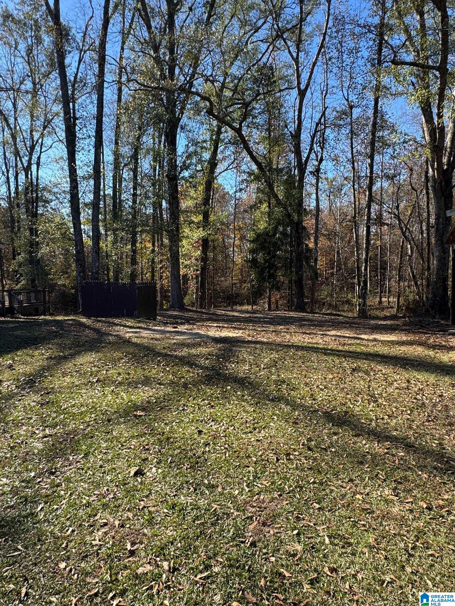 2079 County Road 73 Randolph, AL 36792 - Photo 39 of 47