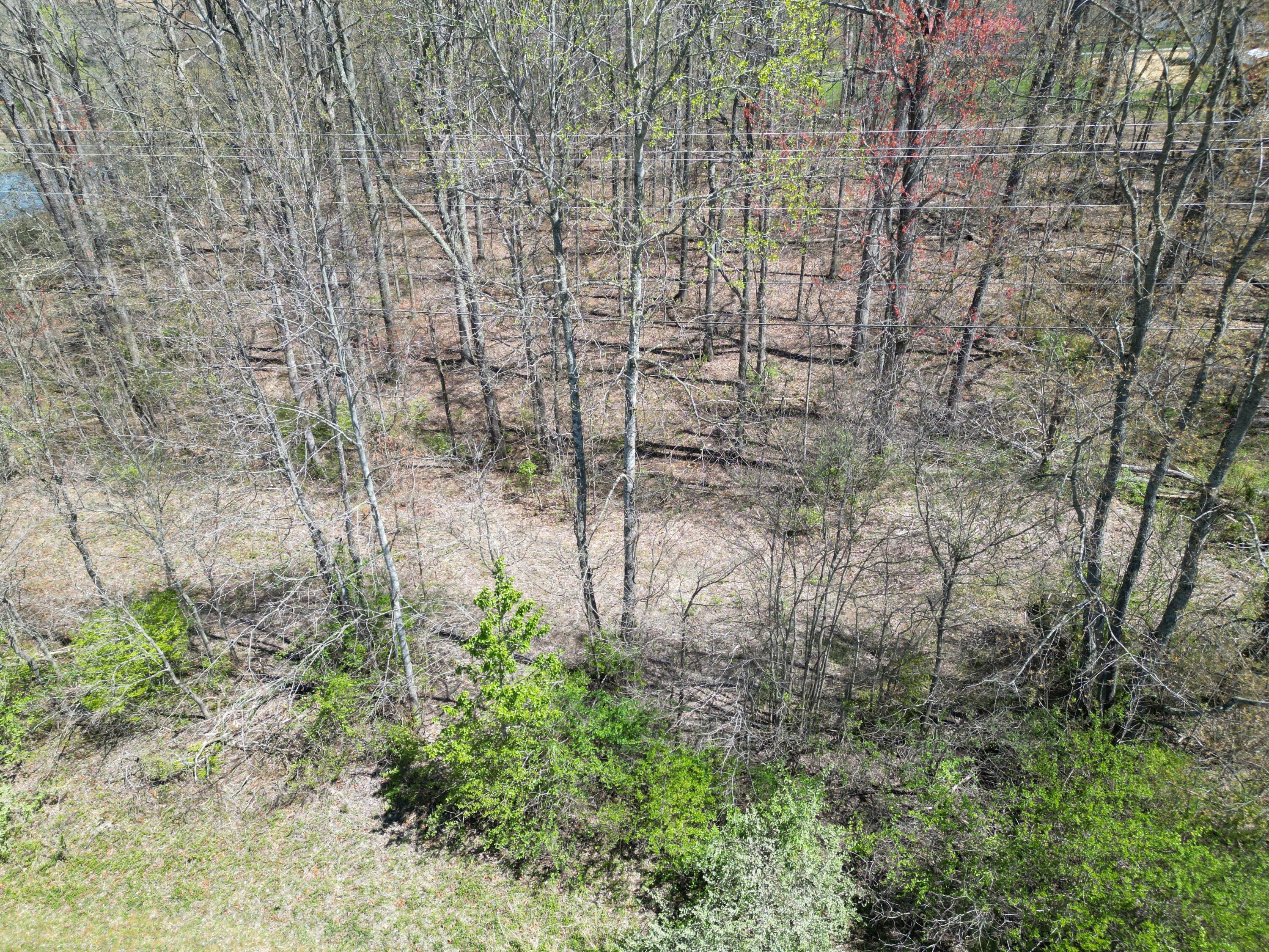 140 Wyan Road London, KY 40744 - Photo 9 of 21 DJI_0461