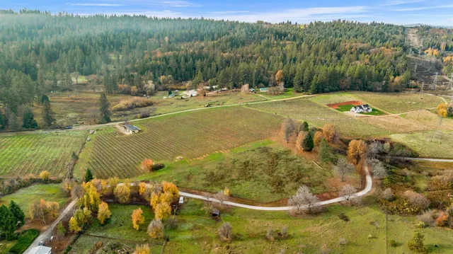 a view of lake with green space
