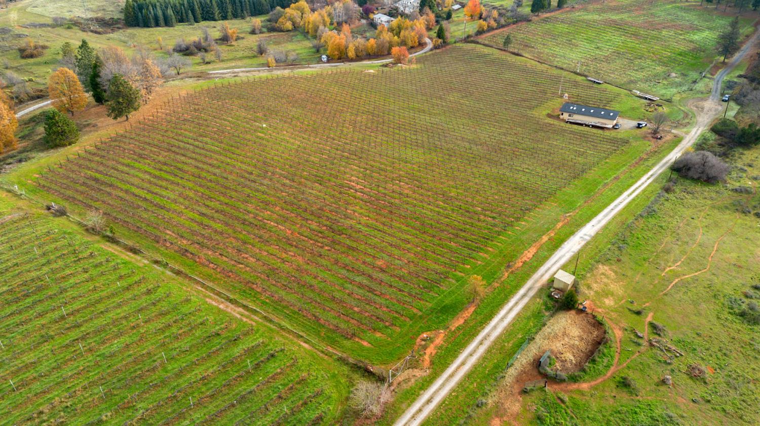 2635 Cleese Road Camino, CA 95709 - Photo 11 of 33