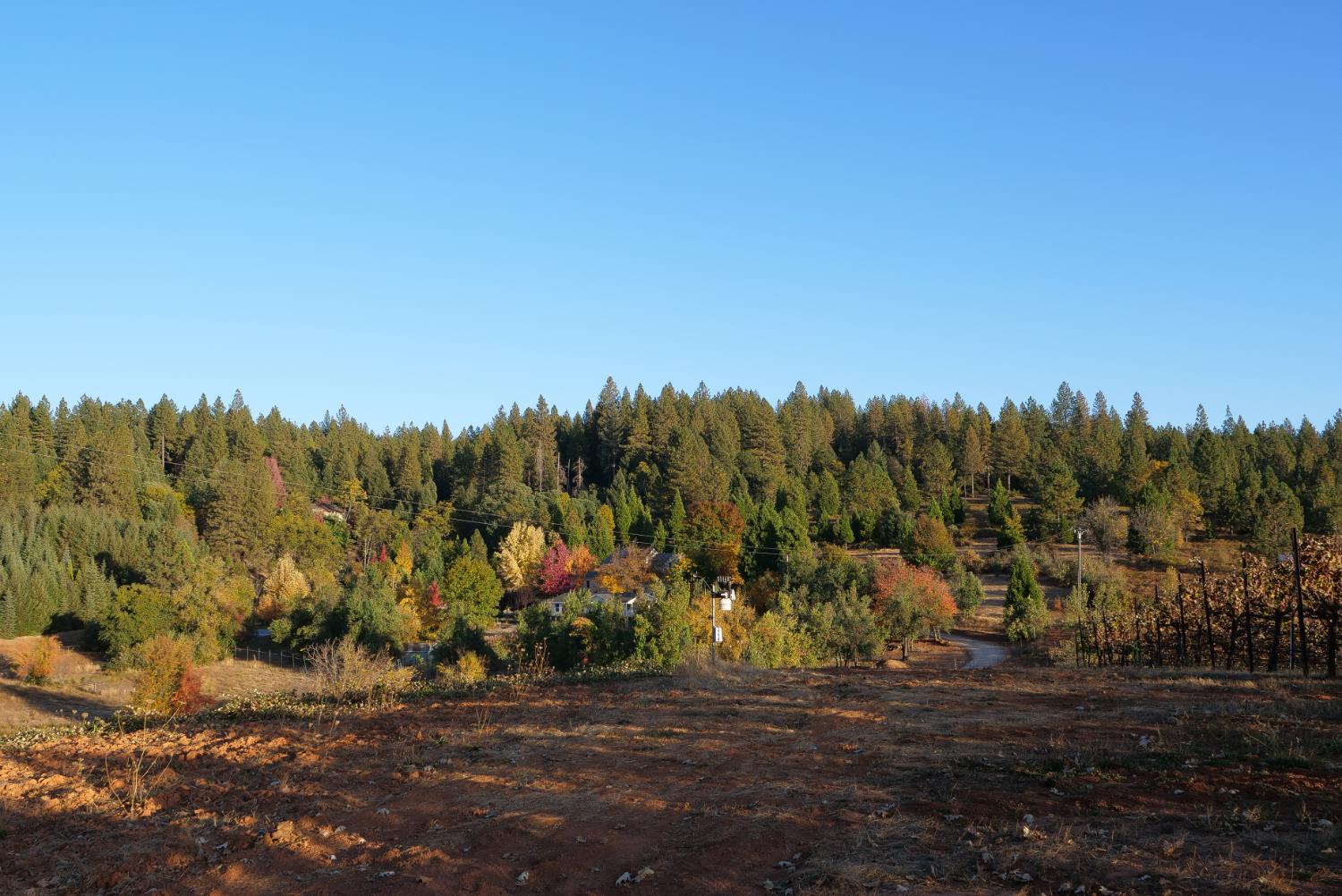 2635 Cleese Road Camino, CA 95709 - Photo 13 of 33