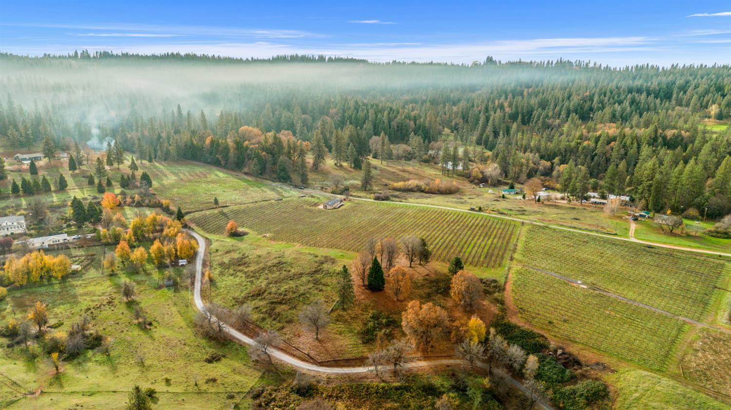 2635 Cleese Road Camino, CA 95709 - Photo 2 of 33