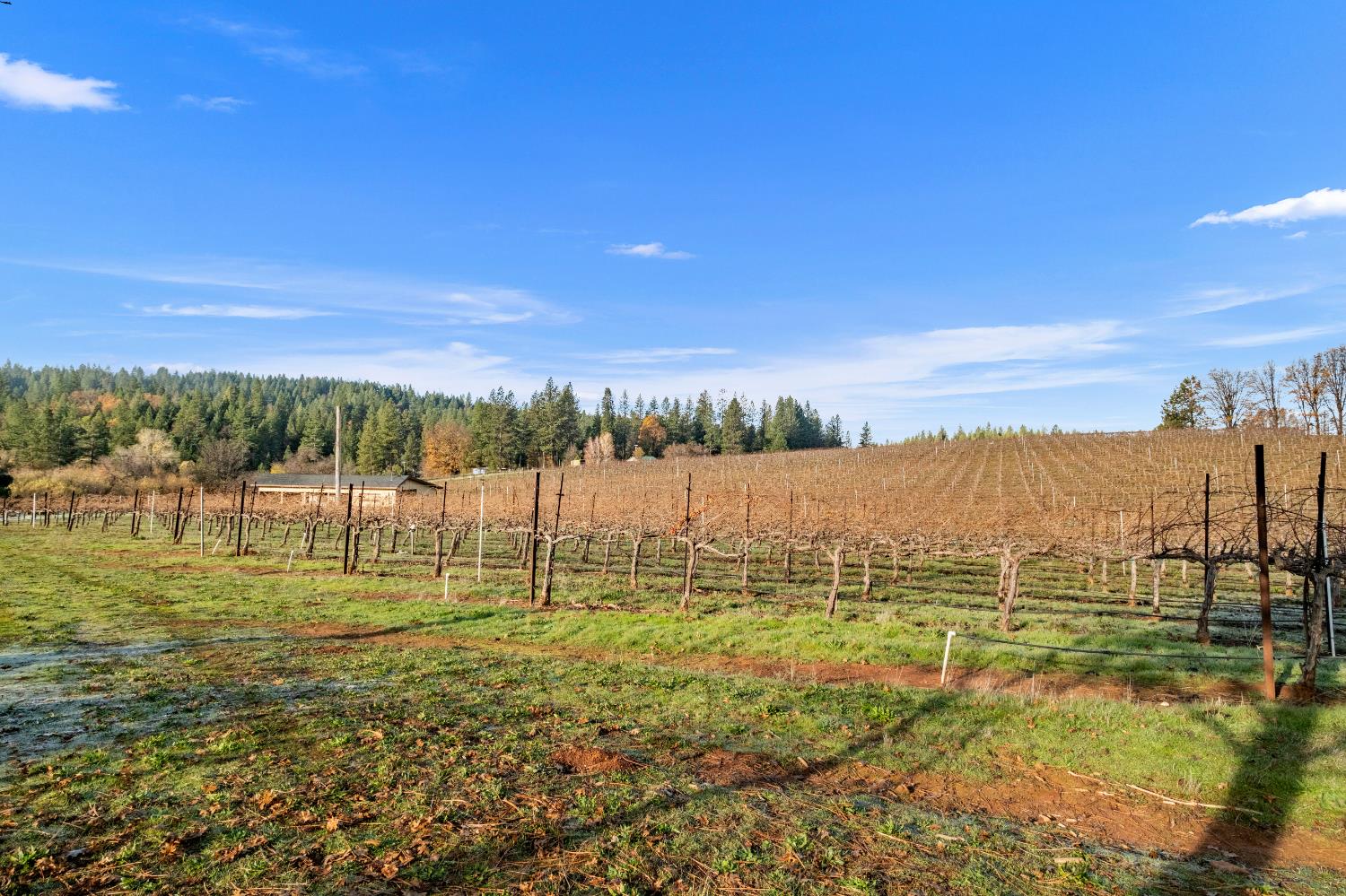 2635 Cleese Road Camino, CA 95709 - Photo 24 of 33