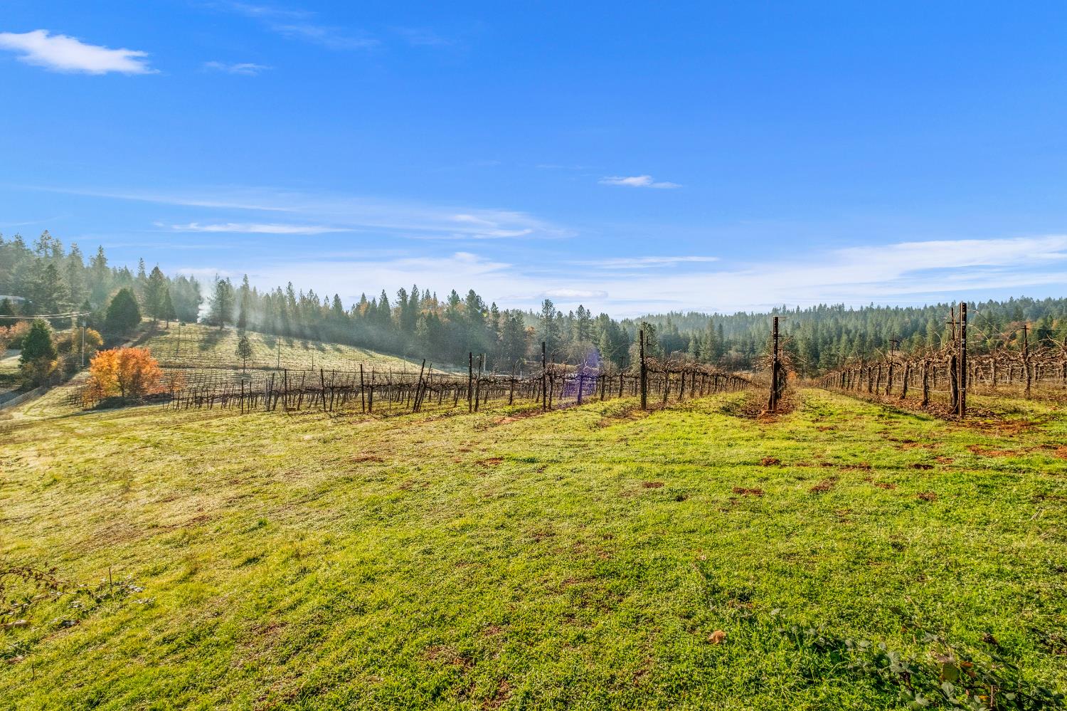 2635 Cleese Road Camino, CA 95709 - Photo 25 of 33