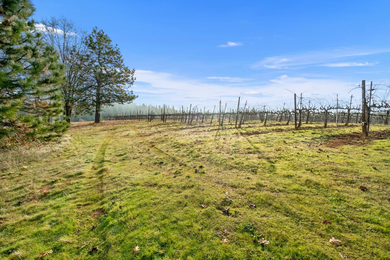 2635 Cleese Road Camino, CA 95709 - Photo 27 of 33