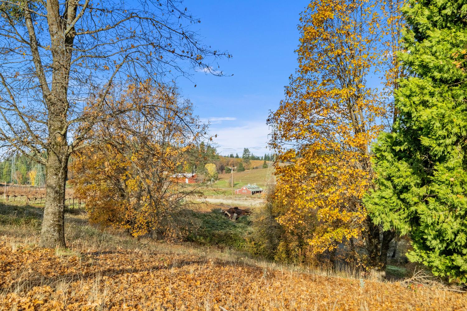 2635 Cleese Road Camino, CA 95709 - Photo 28 of 33