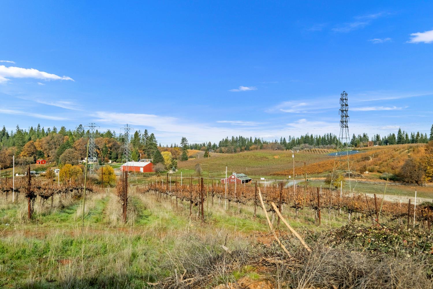 2635 Cleese Road Camino, CA 95709 - Photo 30 of 33 a view of a lake with a city