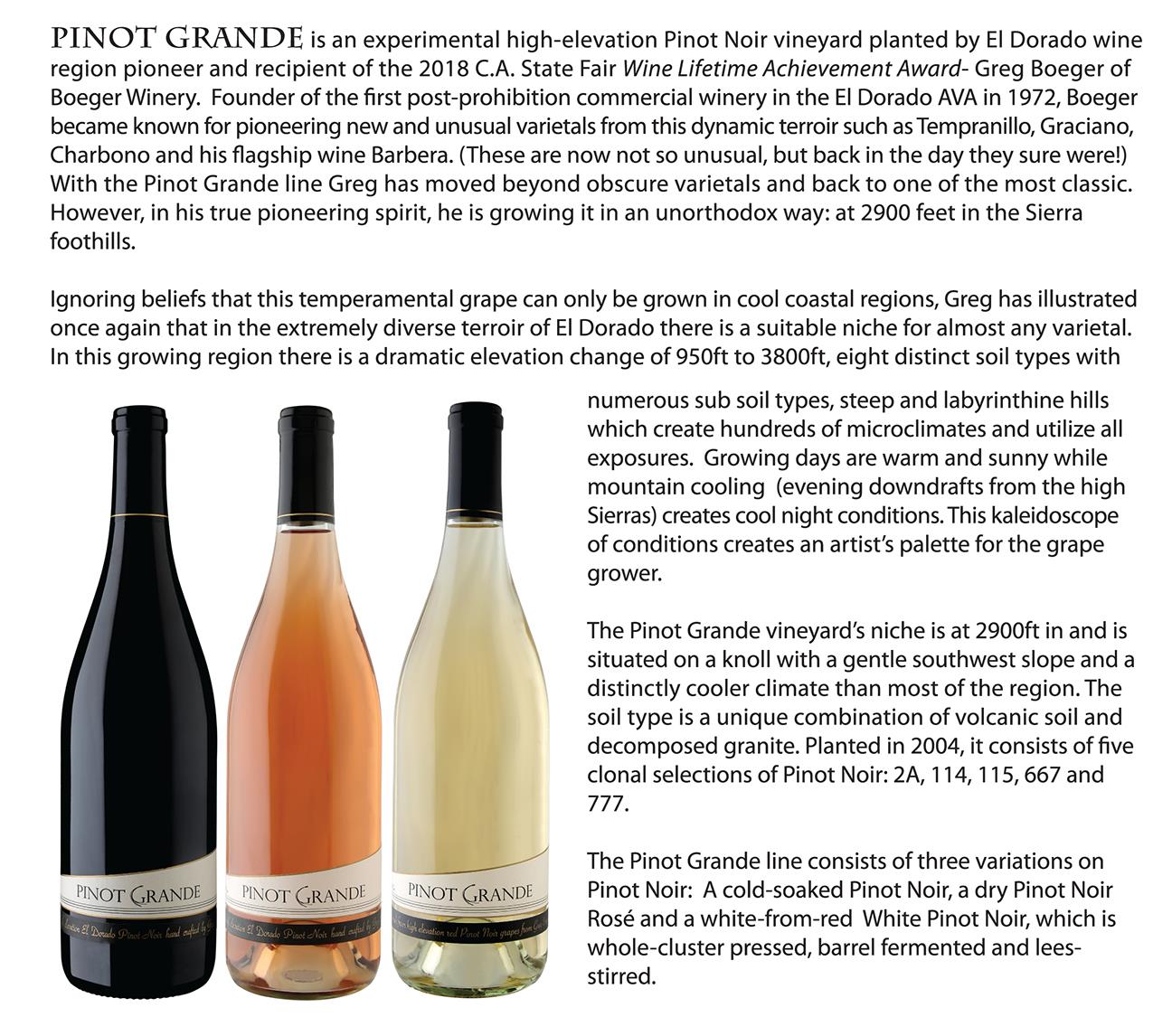 2635 Cleese Road Camino, CA 95709 - Photo 3 of 33