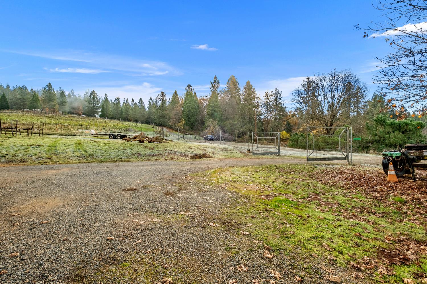 2635 Cleese Road Camino, CA 95709 - Photo 32 of 33 a view of outdoor space with trees all around