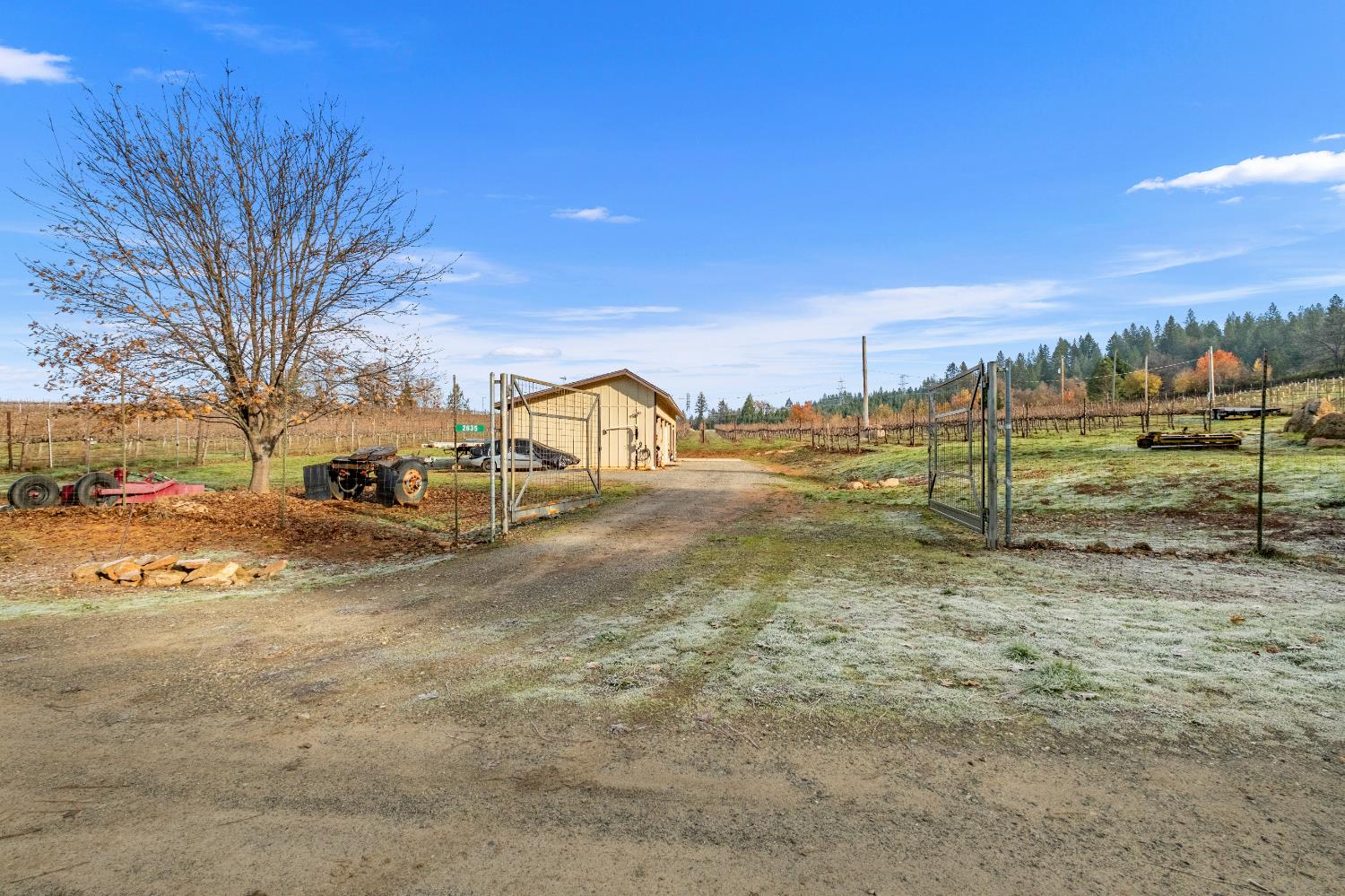 2635 Cleese Road Camino, CA 95709 - Photo 33 of 33