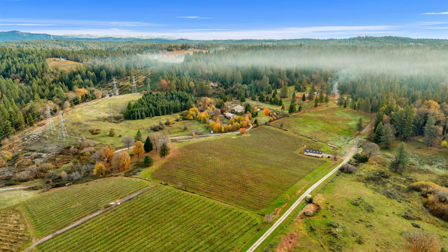 2635 Cleese Road Camino, CA 95709 - Photo 6 of 33