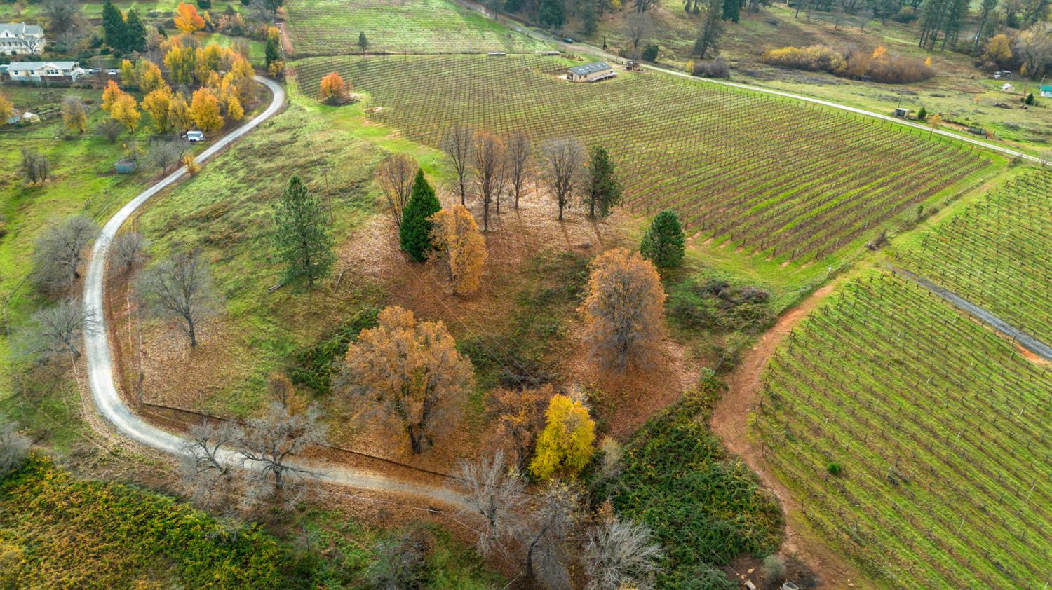 2635 Cleese Road Camino, CA 95709 - Photo 9 of 33 a view of a lake