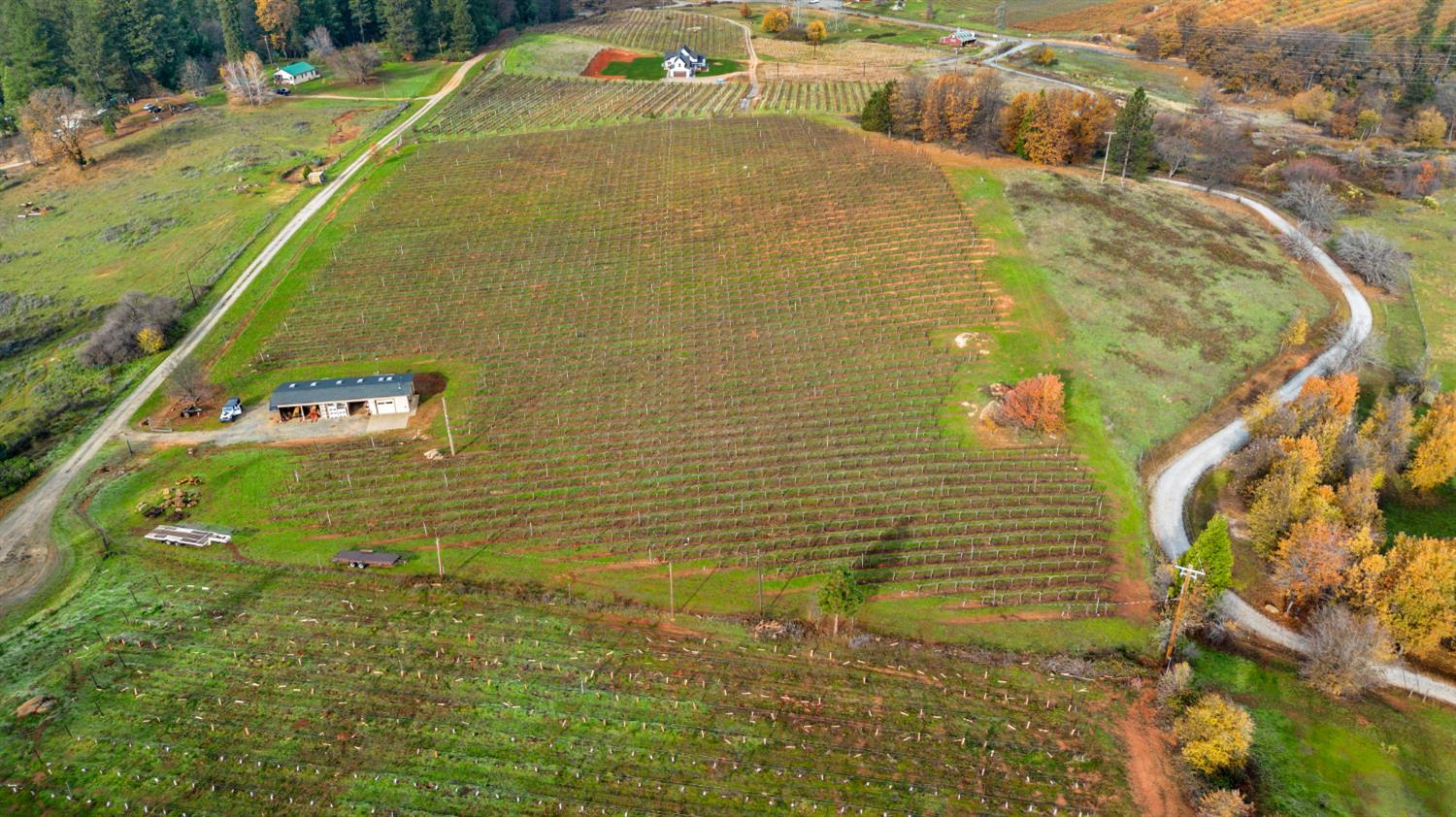 2635 Cleese Road Camino, CA 95709 - Photo 10 of 33