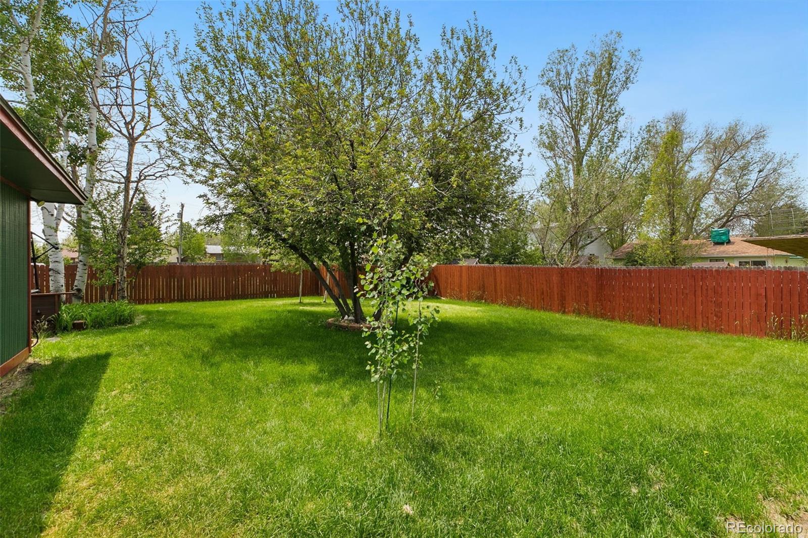 13 Maple Drive Frederick, CO 80530 - Photo 26 of 32 a view of backyard with green space