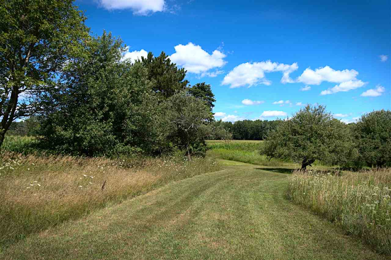 9731 South Meridian Road Shepherd, MI 48883 - Photo 8 of 43 1878359-7.JPG
