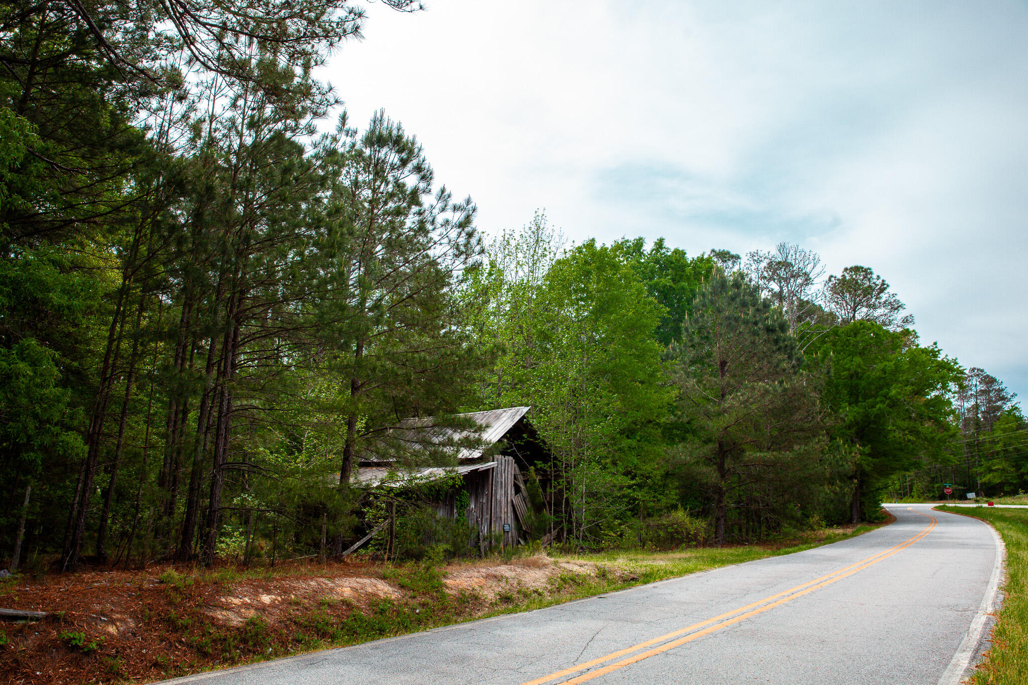 1223 Appling Harlem Road Harlem, GA 30814 - Photo 1 of 11 IMG_5287