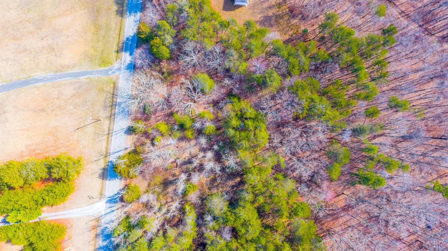 44 Thistle Road Rustburg, VA 24588 - Photo 3 of 8