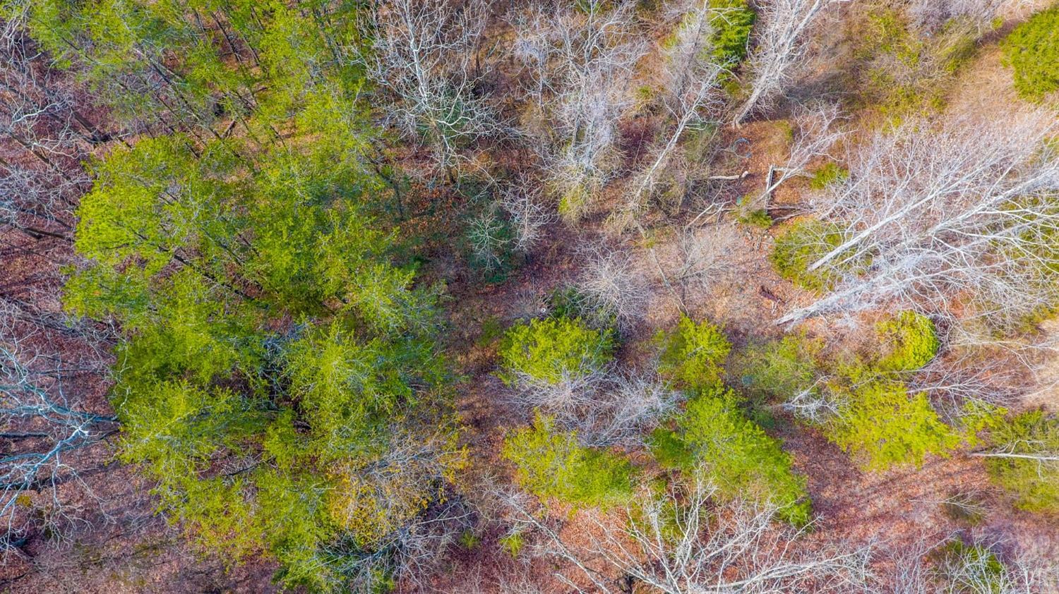 44 Thistle Road Rustburg, VA 24588 - Photo 5 of 8