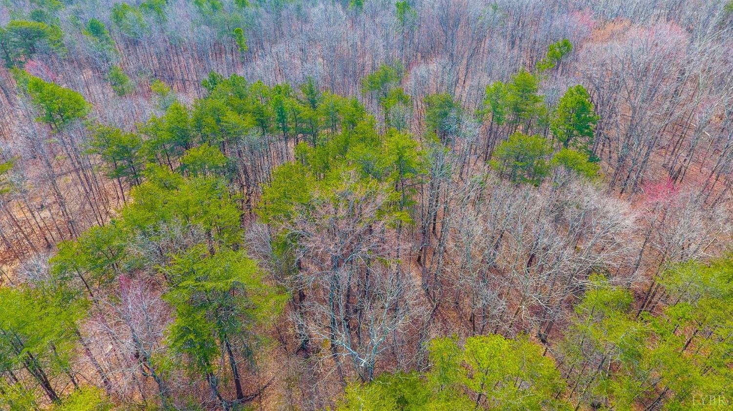 44 Thistle Road Rustburg, VA 24588 - Photo 6 of 8