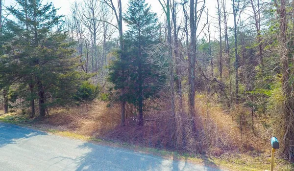 $12,000 | 44 Thistle Road, Rustburg, VA 24588