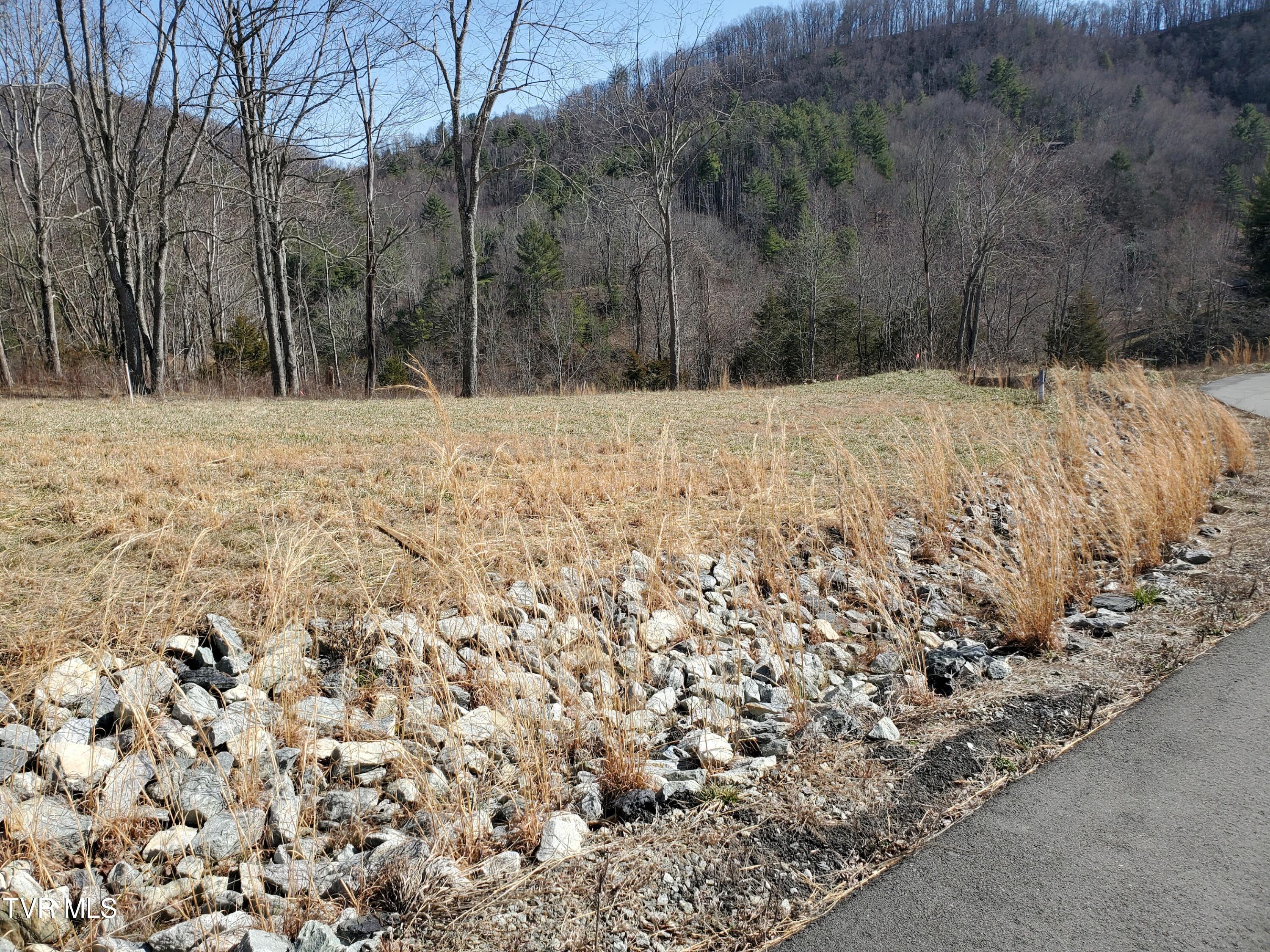 Lot 36 Cowan Town Road, Unit 36 Butler, TN 37640 - Photo 1 of 41 Lot 36