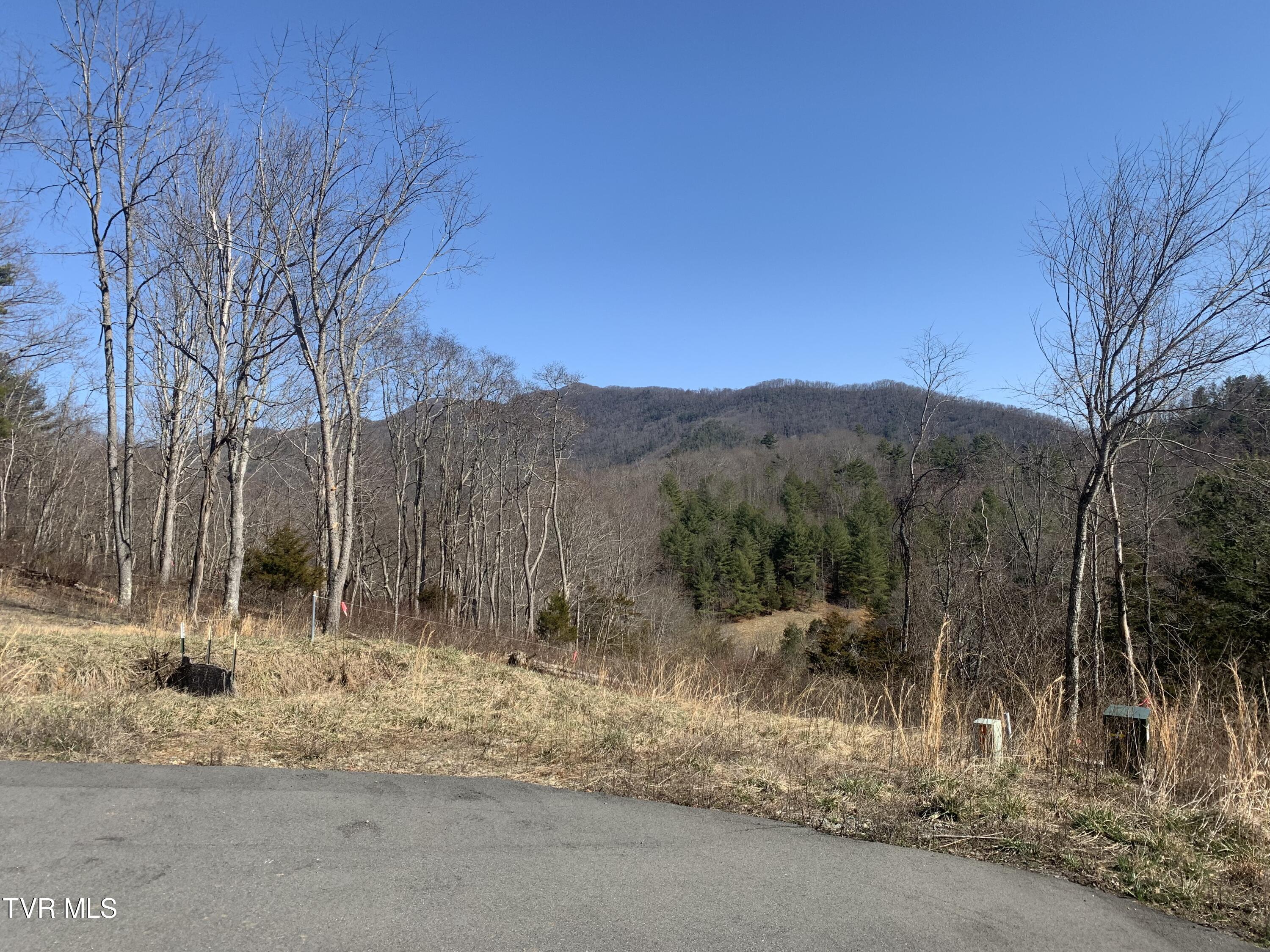 Lot 36 Cowan Town Road, Unit 36 Butler, TN 37640 - Photo 21 of 41 IMG_9041
