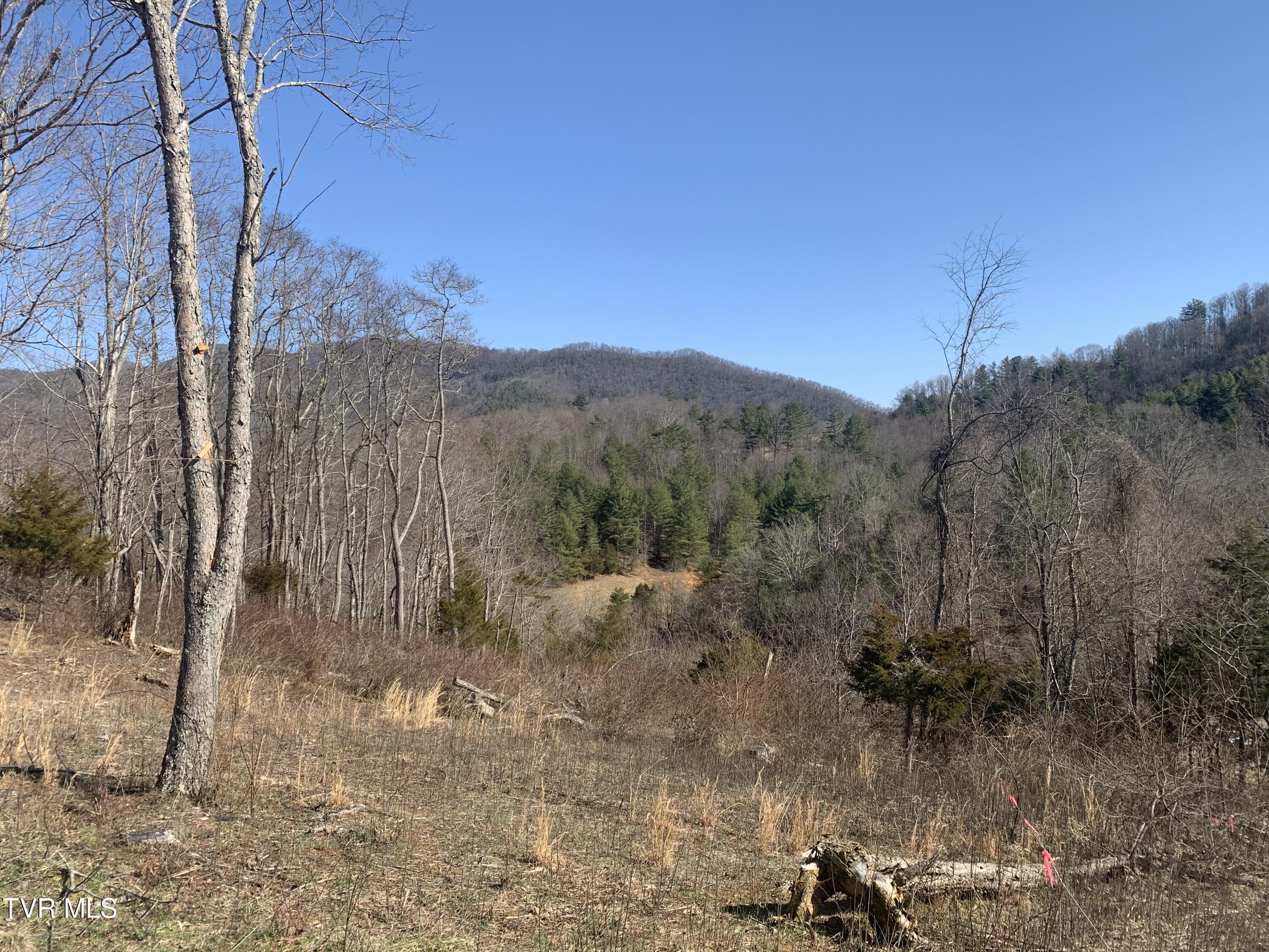 Lot 36 Cowan Town Road, Unit 36 Butler, TN 37640 - Photo 22 of 41 IMG_9054
