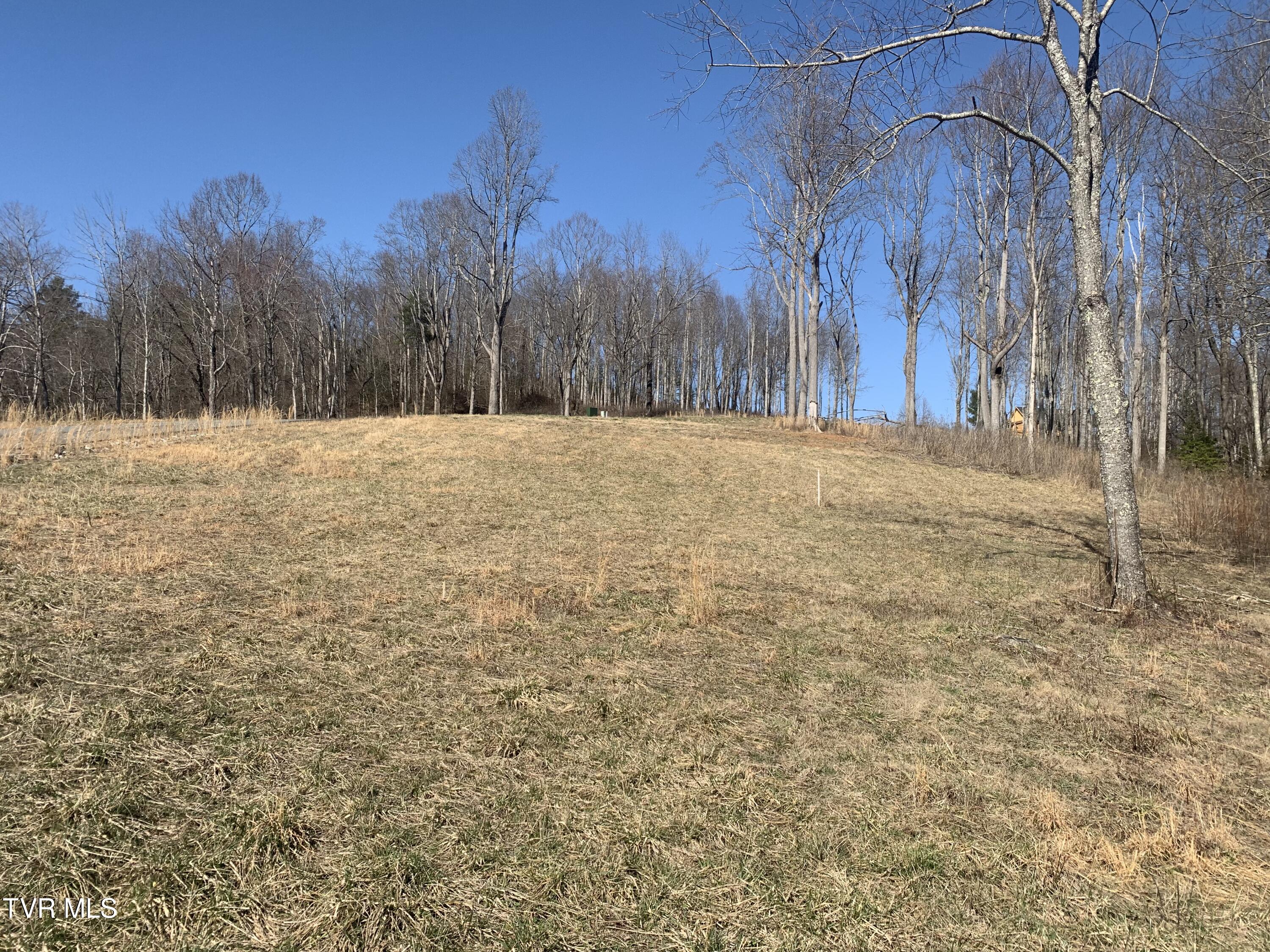 Lot 36 Cowan Town Road, Unit 36 Butler, TN 37640 - Photo 23 of 41 IMG_9056