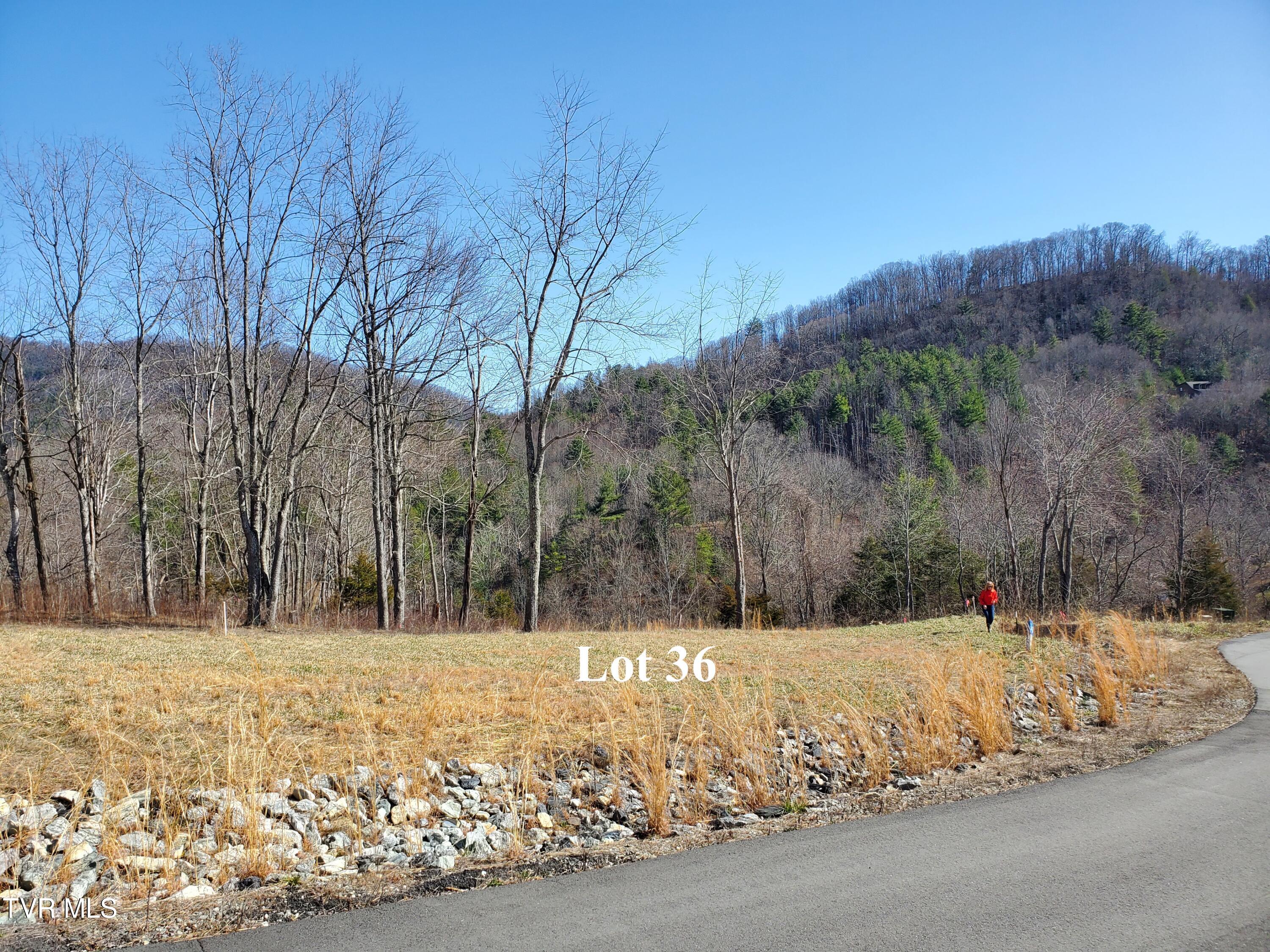 Lot 36 Cowan Town Road, Unit 36 Butler, TN 37640 - Photo 3 of 41 Lot view from street