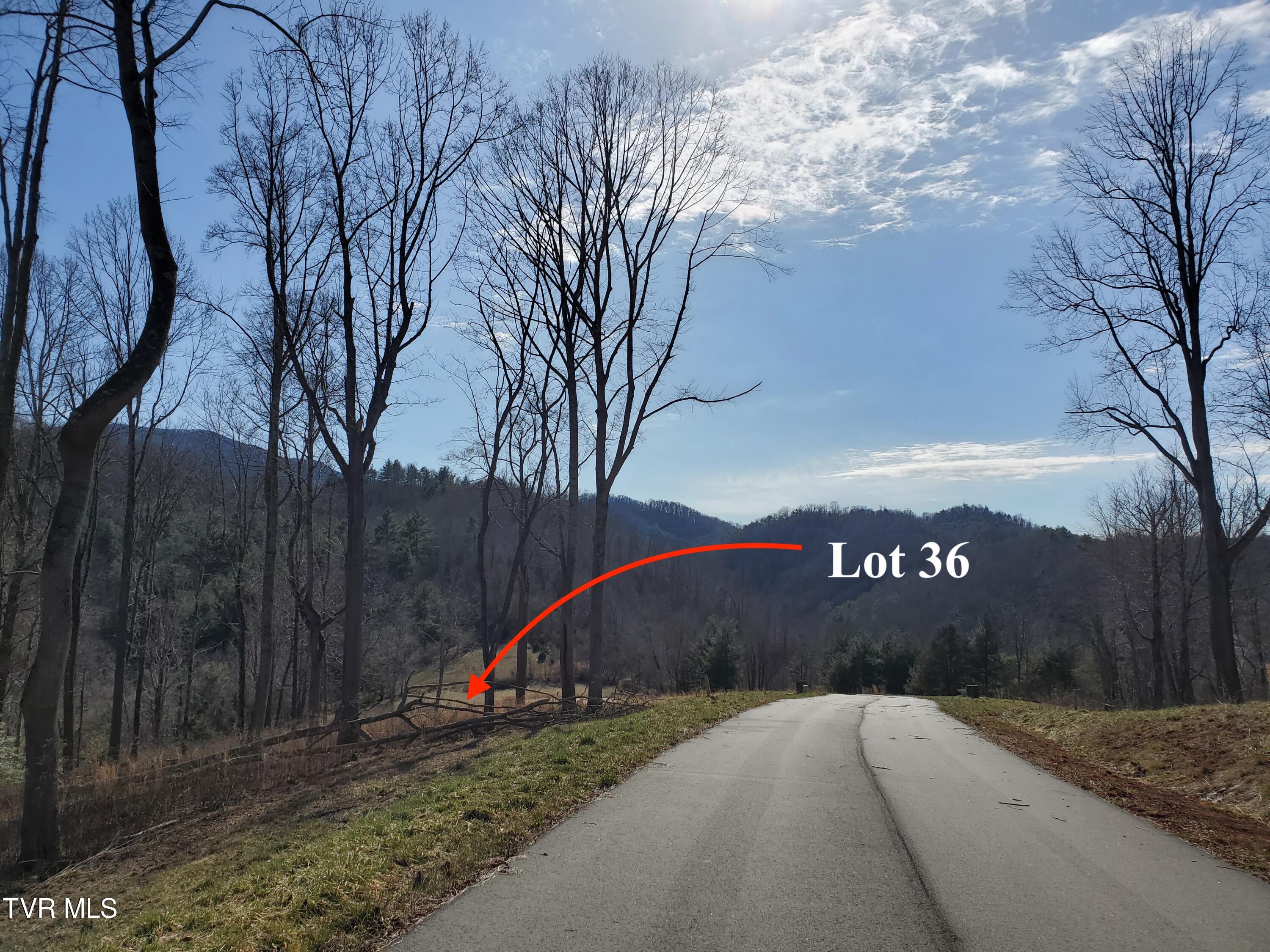 Lot 36 Cowan Town Road, Unit 36 Butler, TN 37640 - Photo 5 of 41 Driving in 2