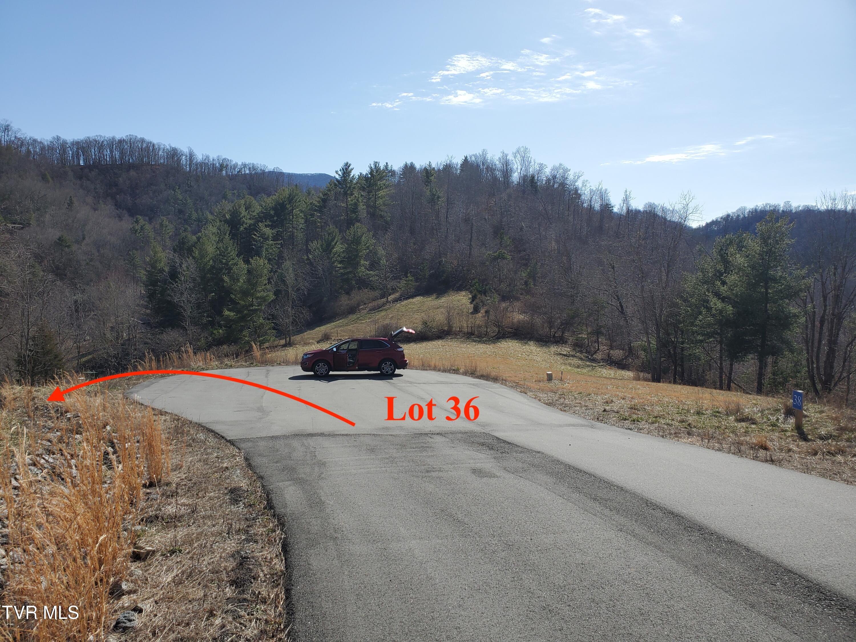 Lot 36 Cowan Town Road, Unit 36 Butler, TN 37640 - Photo 8 of 41 Cauldesac