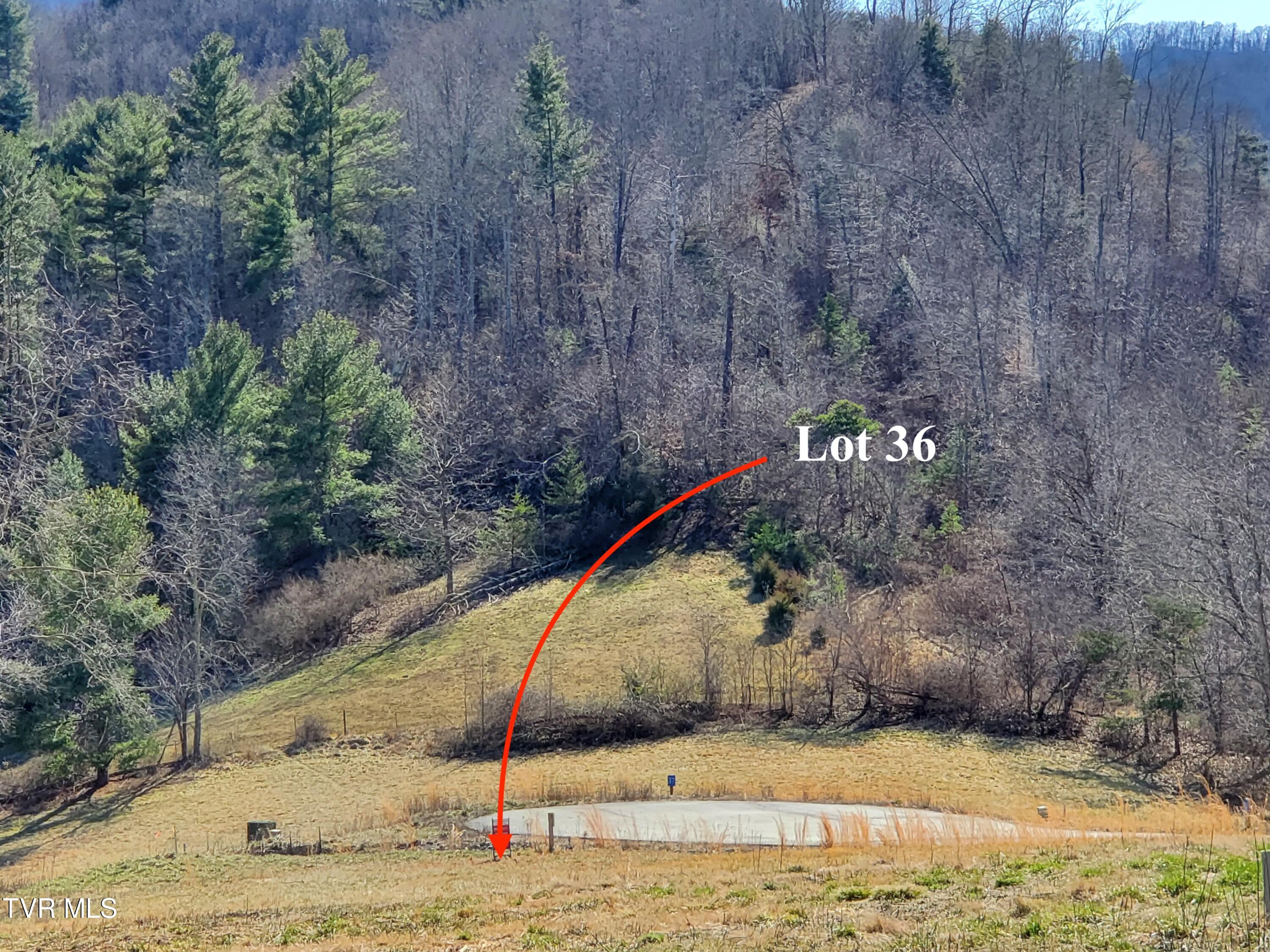 Lot 36 Cowan Town Road, Unit 36 Butler, TN 37640 - Photo 10 of 41 Lot 36
