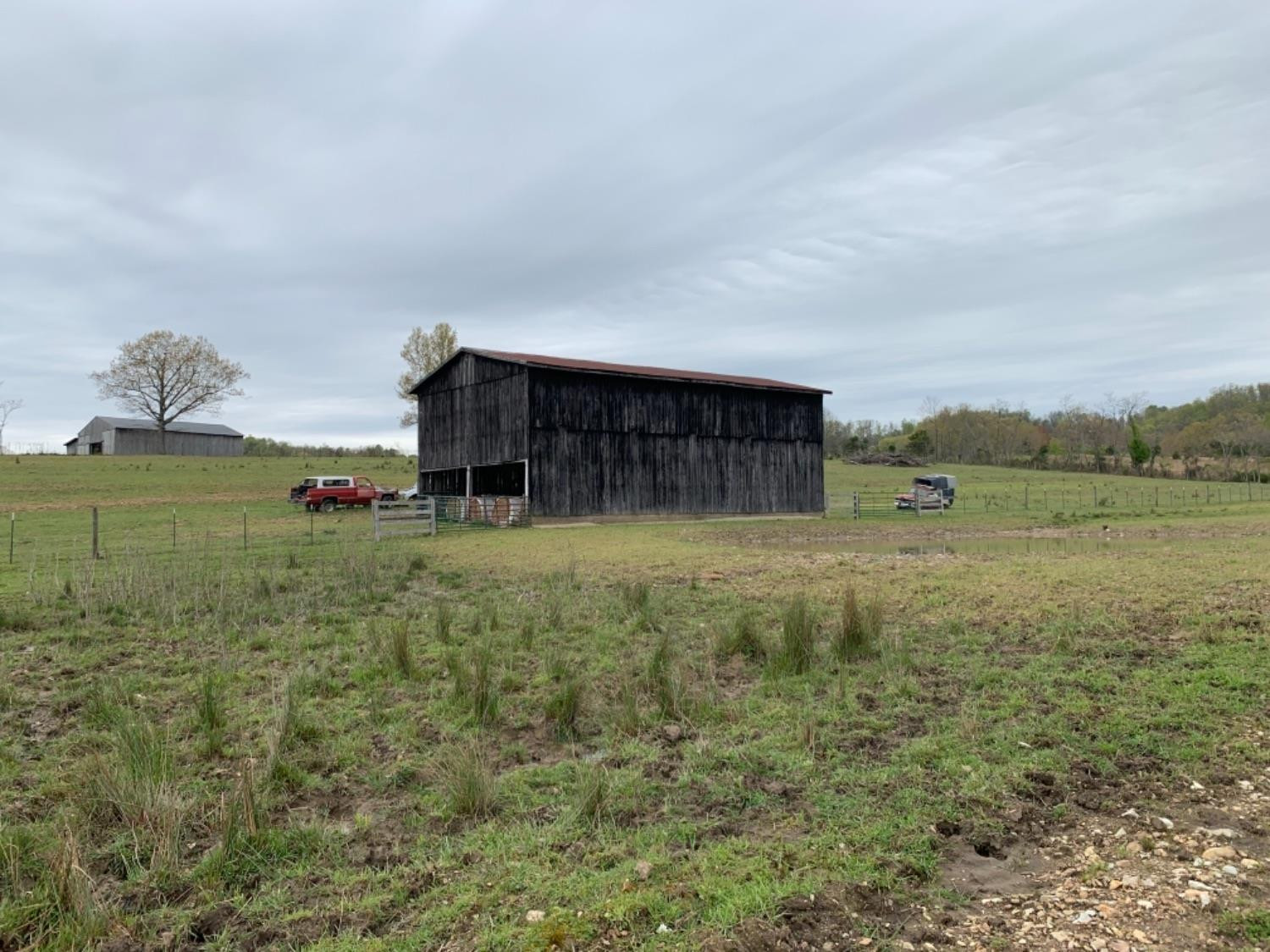 1 Bowen Road Stanford, KY 40484 - Photo 4 of 19 Photo 4